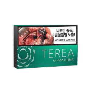 【14種口味】韓國版 IQOS 煙彈 TEREA 系列 IQOS ILUMA 主機專用煙彈 - 薄荷